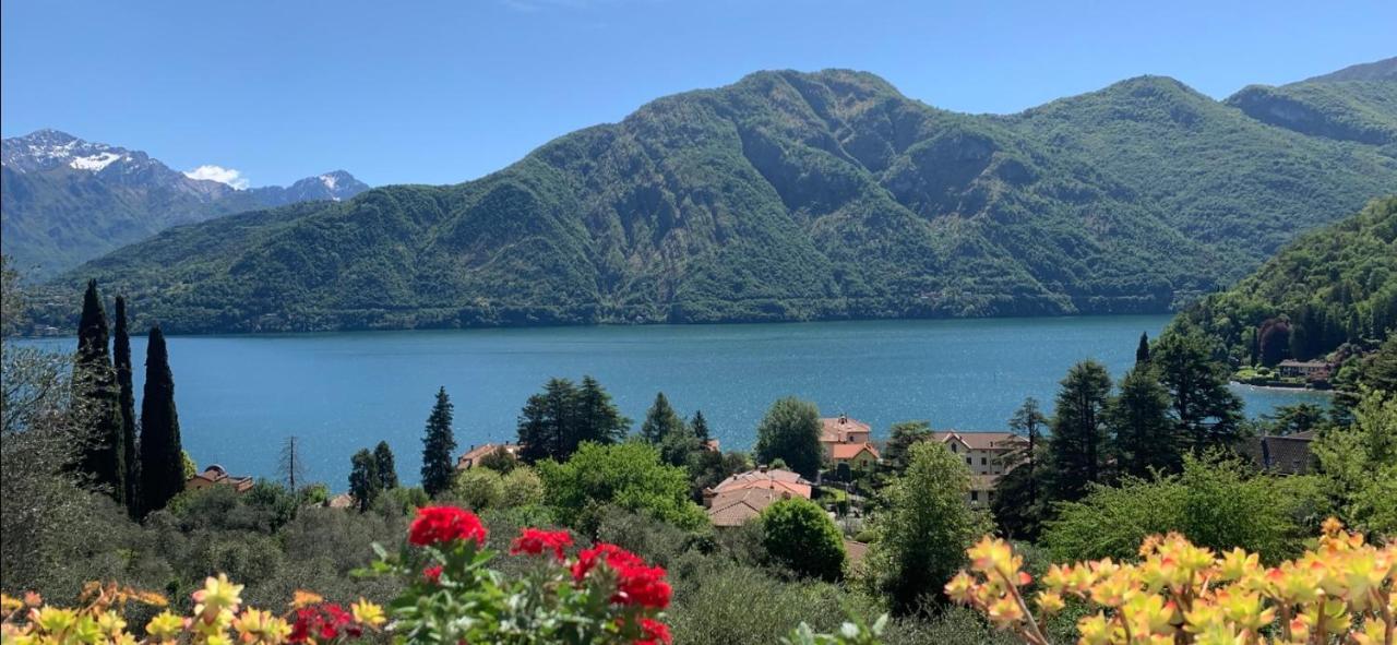 La Dolce Vista Lejlighed Tremezzo Eksteriør billede